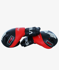 Boxing gloves