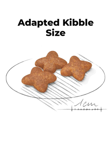 Mini Dogs Food