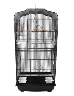 Birds Cage