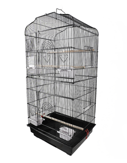 Birds Cage
