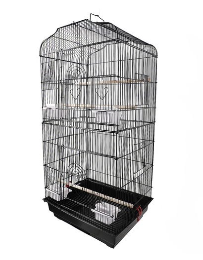Birds Cage