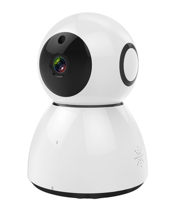 Outdoor video camera