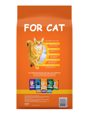 Cats Food