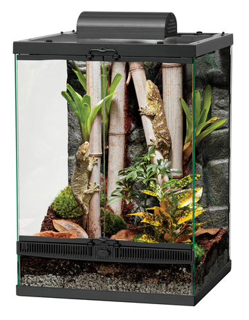 Large Terrarium